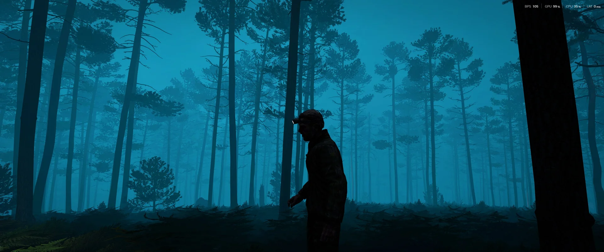 Player silhouette in misty pine forest